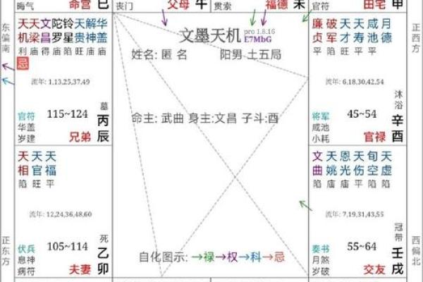 紫薇斗数飞禄