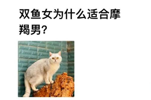 双鱼和摩羯配对 双鱼和摩羯配对指数