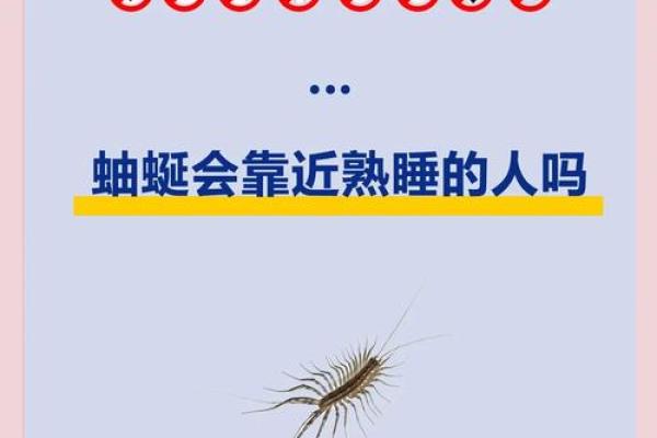 蚰蜒风水之说