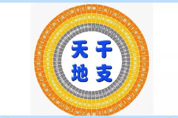 紫薇斗数太阴太阳代表