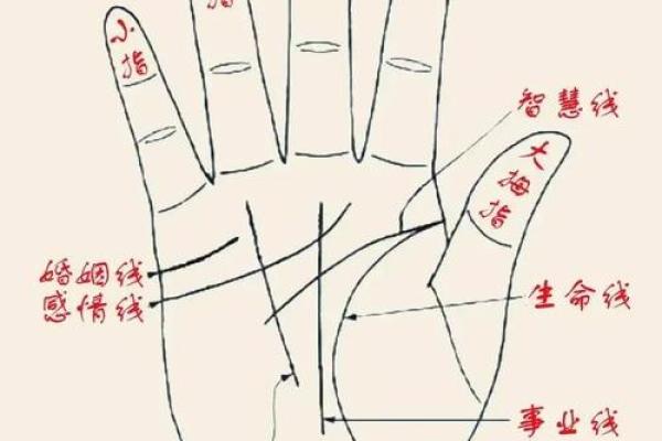《手相学习百科》：手相重要辅线