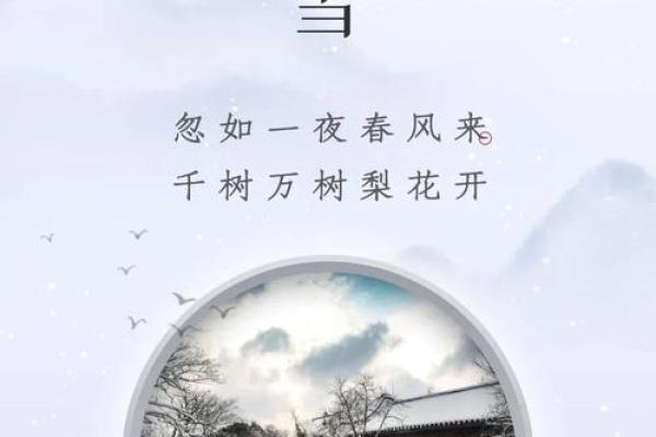 小雪节日文案 小雪节日的诗句