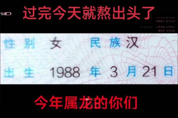 1988年属龙的婚姻配对 1988年属龙的最佳配偶