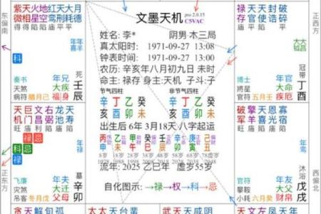 紫薇斗数生子