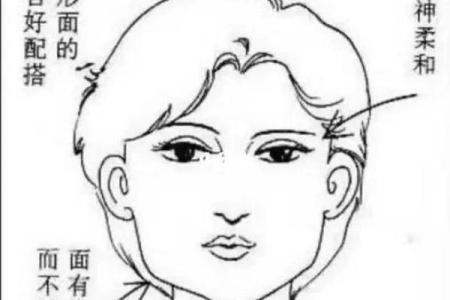 风水角度：柳叶眉女生的面相解释