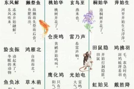 小满节气具体时间 小满节气有哪些民俗