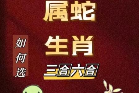男生肖蛇配对，这几点你需要知道！