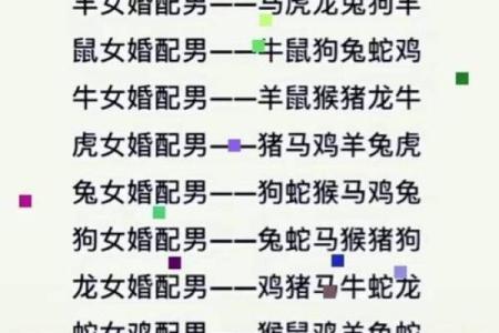 十二肖和十二生肖配对,十二生肖最佳婚配表是怎样的？