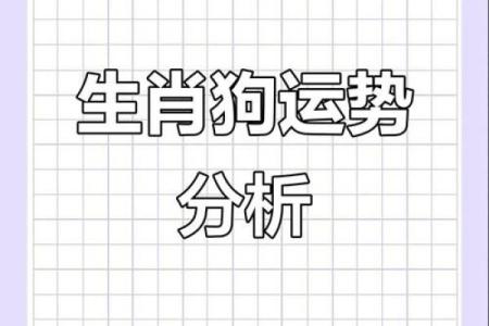 属狗和什么属相最配对 属狗和什么属相相冲