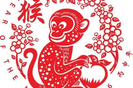 属猴的男孩出生吉日 属猴是哪一年出生的