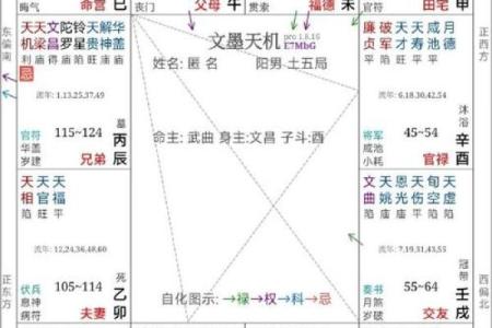 紫薇斗数飞禄