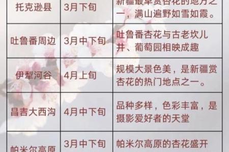 塔吉克族的传统节日和风俗习惯有哪些？