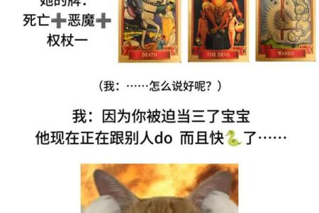 塔罗牌测试两人友情