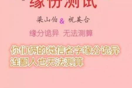 傅和戚姓名配对 傅戚小说？