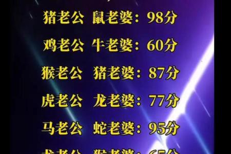 姻缘配对百分之几