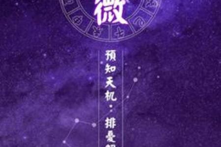 我是紫薇斗数