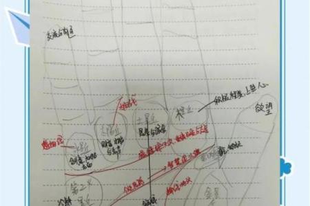 《手相学习百科》：掌丘