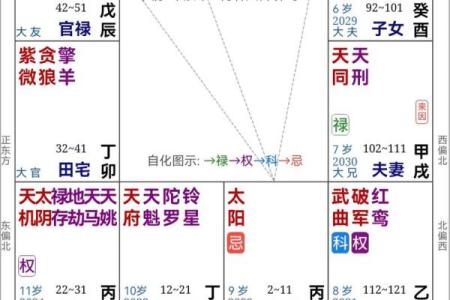 道传紫薇斗数