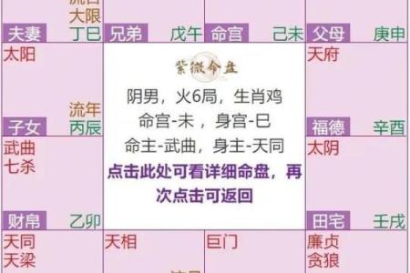 紫薇星化科入父母宫