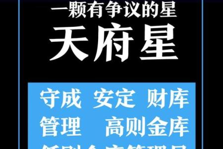 紫薇斗数之星