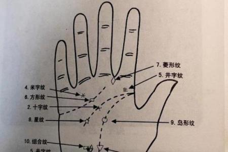 《手相学习百科》：手相重要辅线