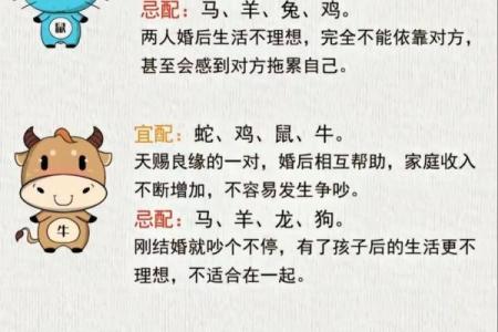 2001年属什么生肖几岁 婚配 多大 配对情况如何