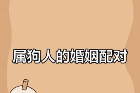 属狗正缘出现在哪年 属狗人婚姻配对表