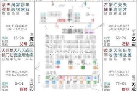 紫薇斗数干什么用的