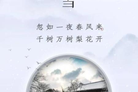 小雪节日文案 小雪节日的诗句