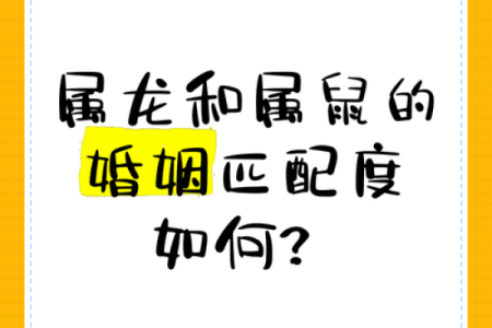 1988年属龙的婚姻配对 1988年属龙的最佳配偶