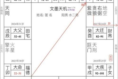 紫薇斗数一岁在哪里