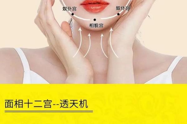 面相在线测试,在线扫一扫测面相