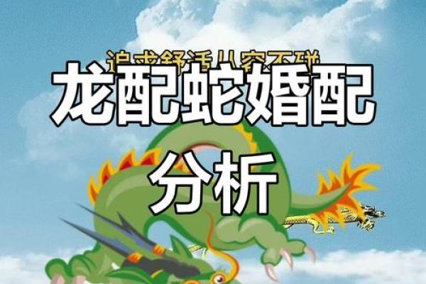 2000属龙女孩最佳婚配 与什么生肖配对最幸福