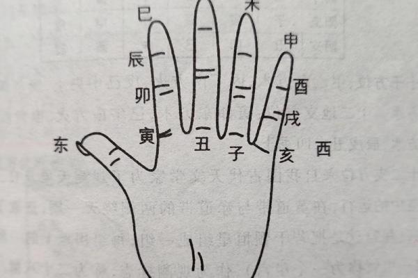 八字天干地支怎么看