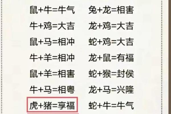 属虎和什么属相最配对 属虎和什么属相相冲