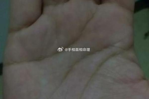 风水右手川字掌的女人命运怎么样？