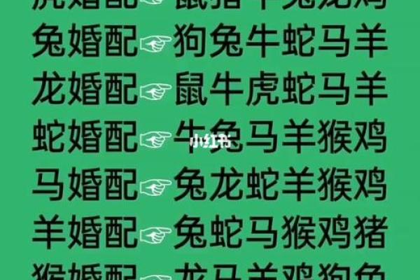 属相配对算命