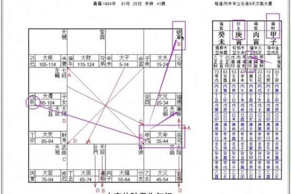 紫薇斗数怎么排命盘