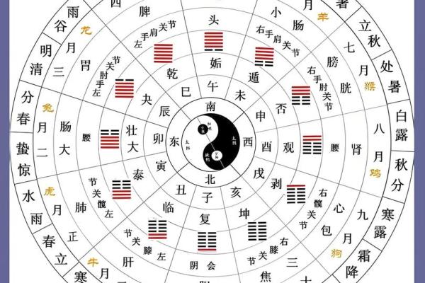 八字巳时