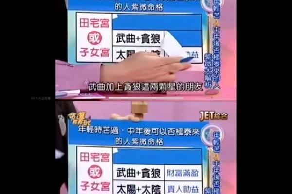 她只能作一名记者吗？紫微斗数实例解读