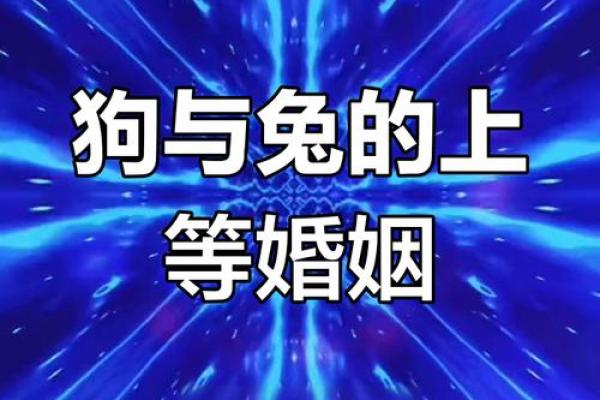 属狗的女人和什么属相最配对 属狗的女人和什么属相最配婚姻
