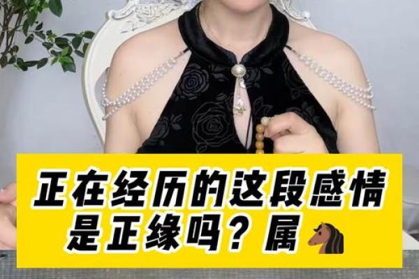 属马正缘出现在哪年 属马人婚姻配对表