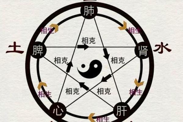 如何使用风水学中的原理对肺部气息进行优化