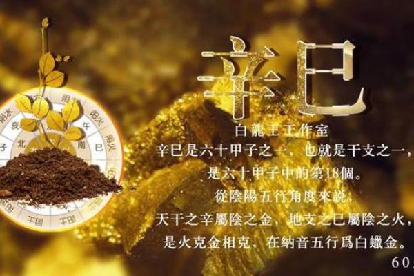 金命人最吉利的方位有哪些 金命人吉利的方位有哪些