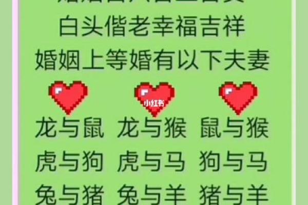 男猴女马生肖配对姻缘