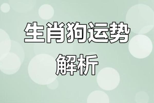 属狗的财运方位 从地支所在方向查看 西北方和东方都是不错的