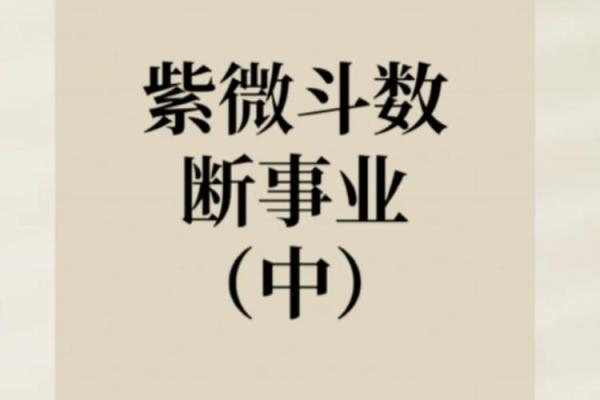 紫微斗数之：论事业