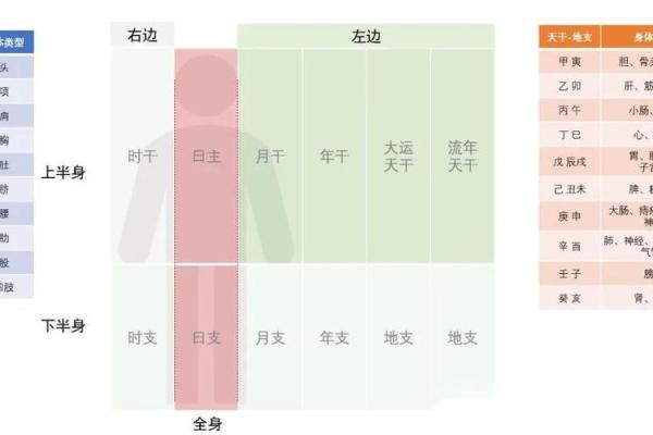 八字看身体