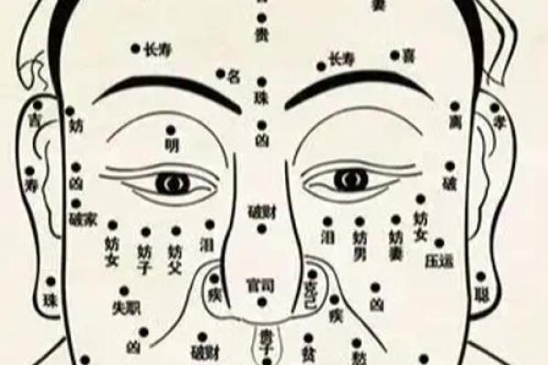 眼皮看面相算命