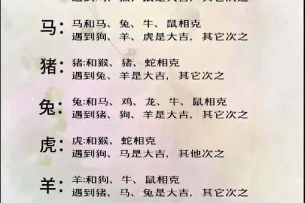91年属什么生肖配对